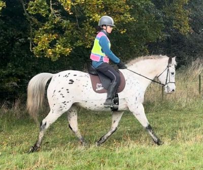 SMART Elite VSD saddle