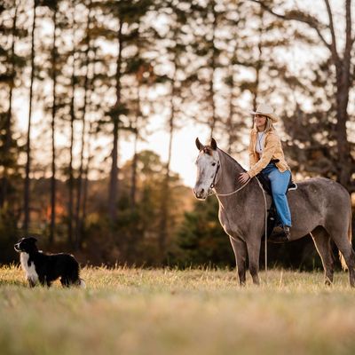 SMART™ Elite Trail saddle