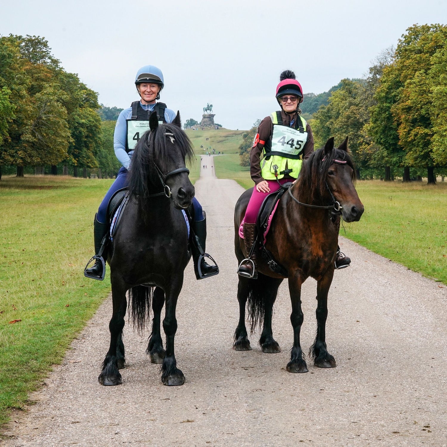 SMART™ Native Saddle Range