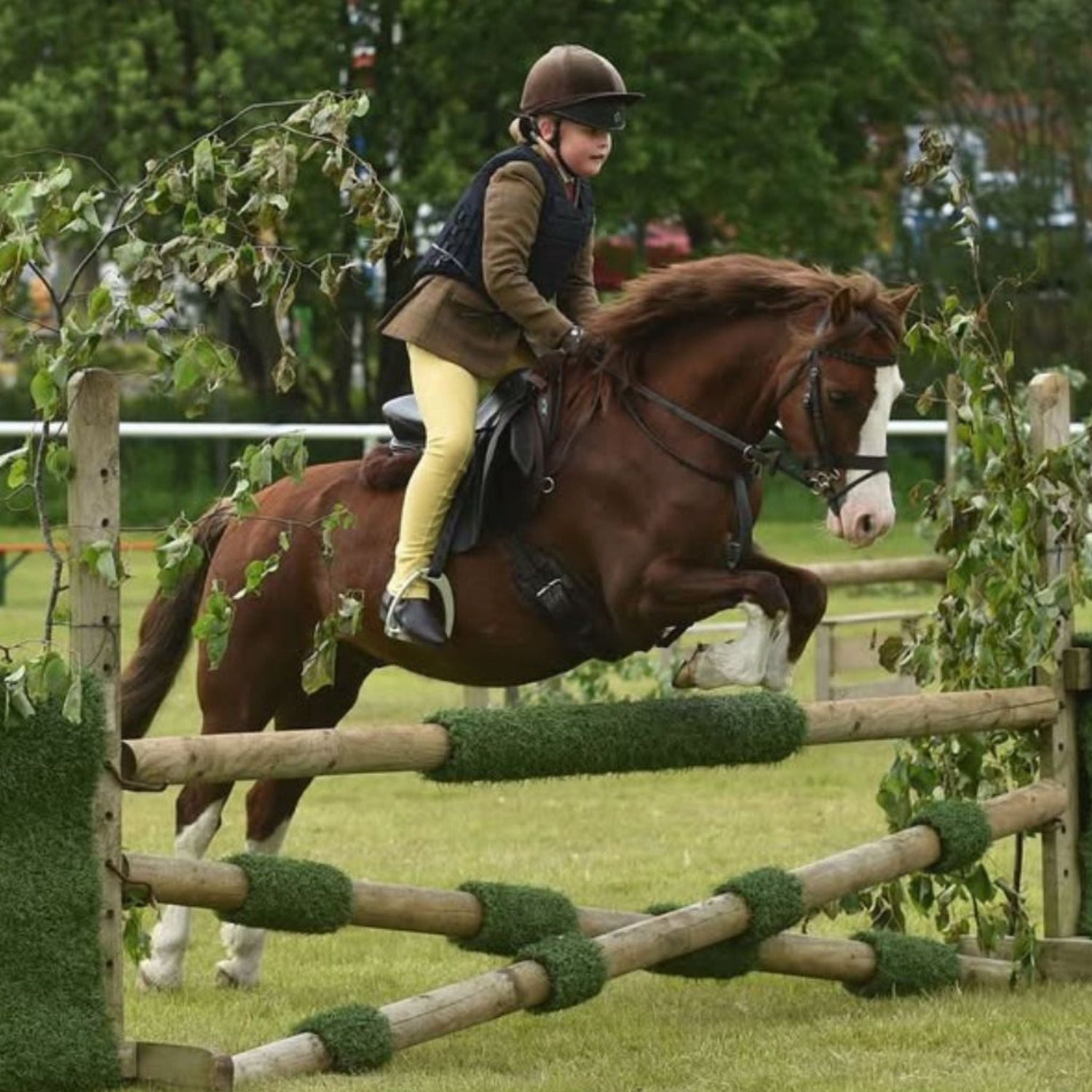 SMART™ Pony saddles