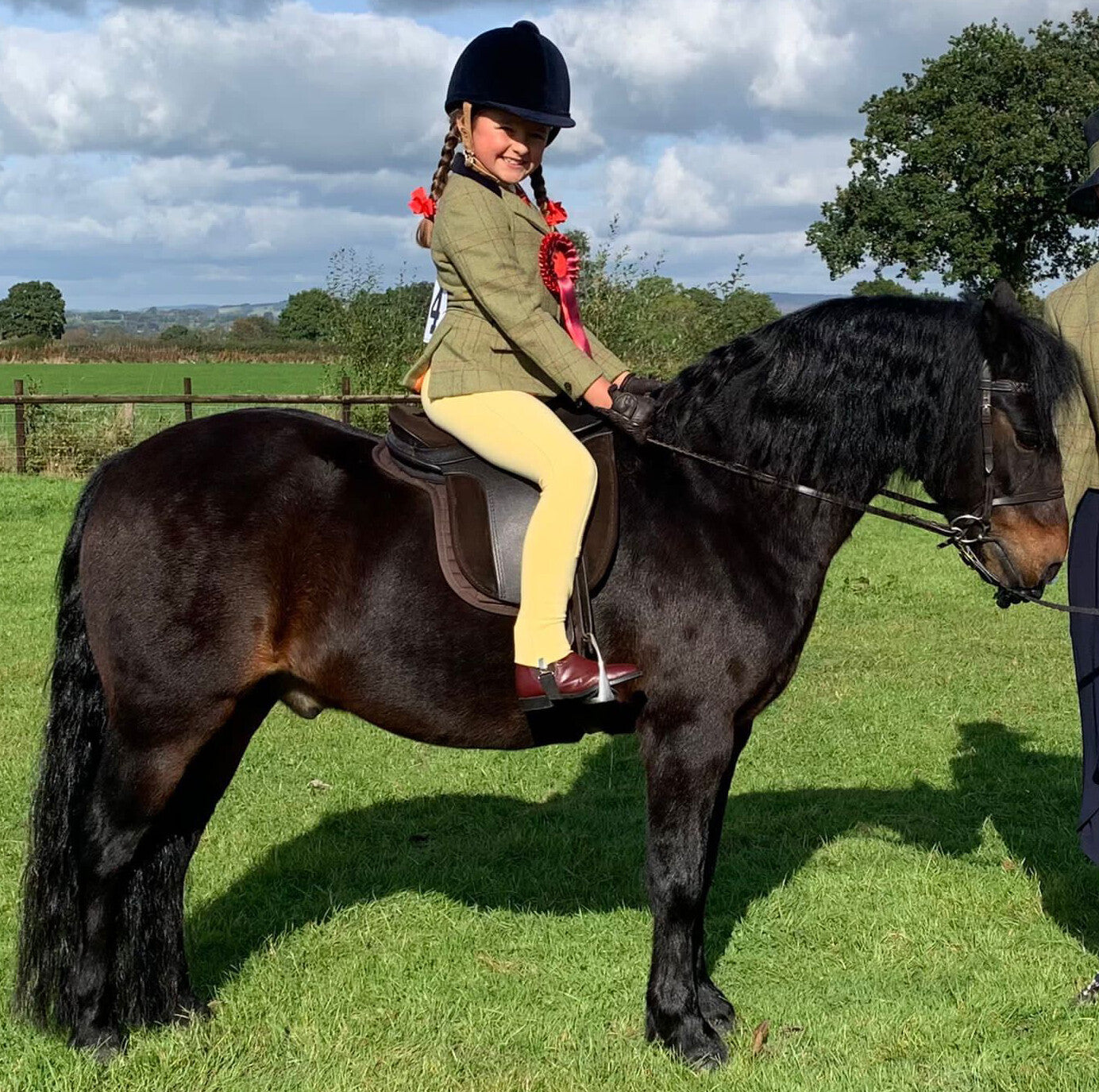 SMART Native Pony Saddle