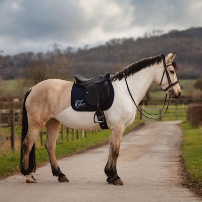 SMART Native GP saddle
