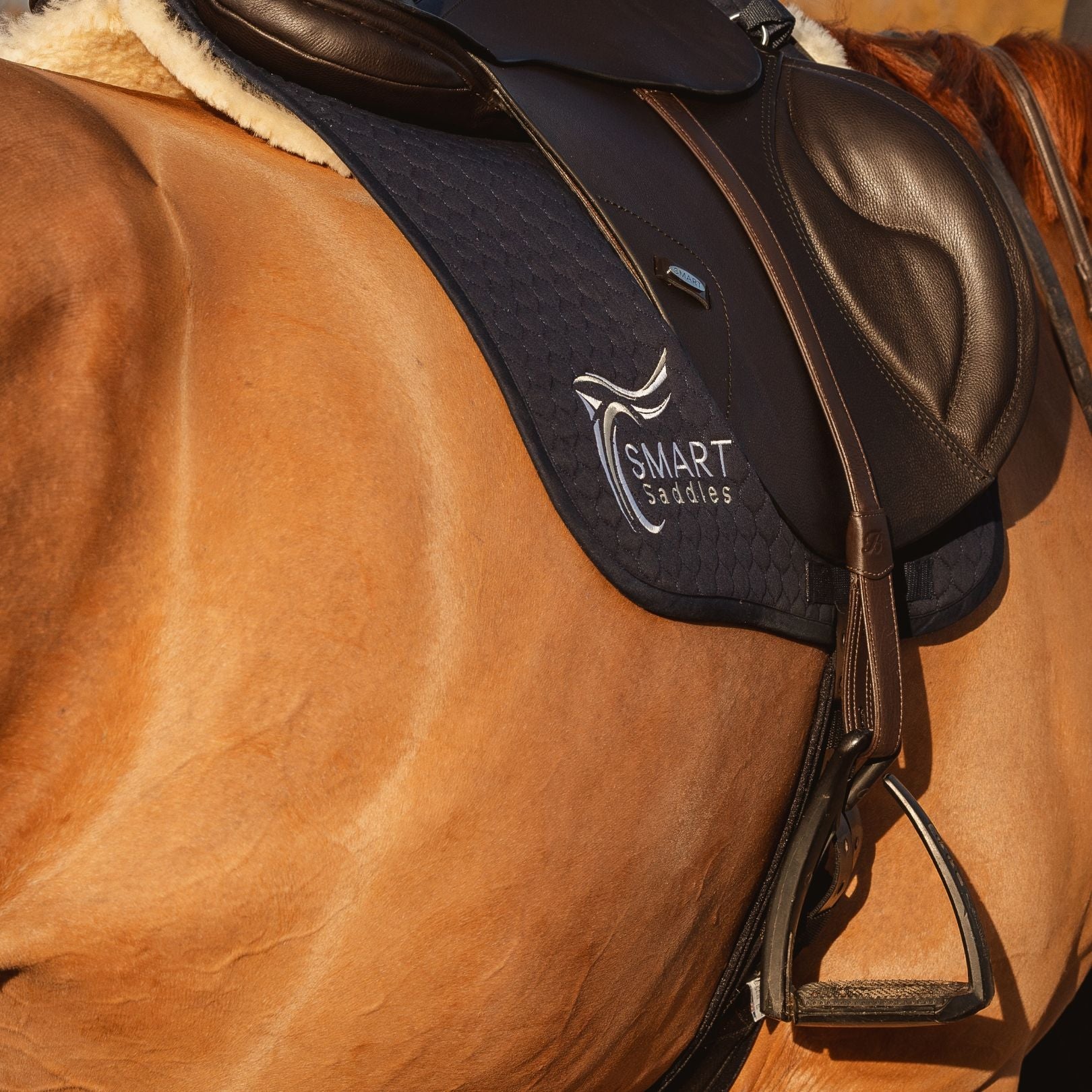 Activate Your Horse's Core  - Book & DVD