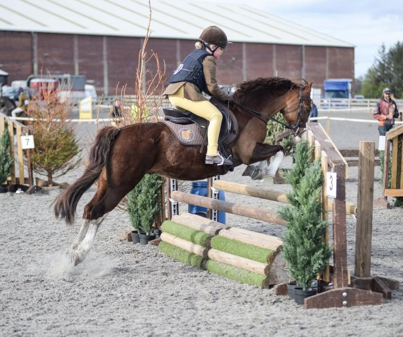 SMART Elite Pony Saddle