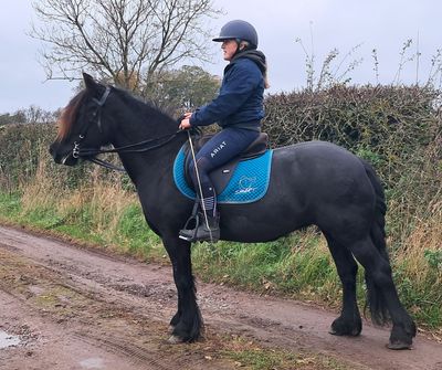 SMART Native VSD saddle