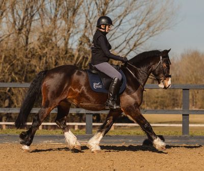 SMART Elite VSD saddle
