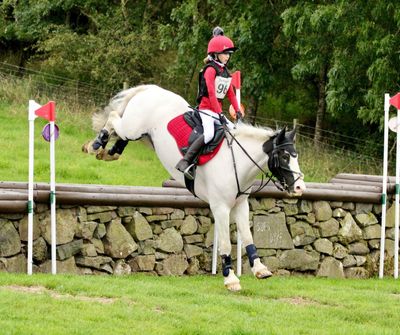 SMART Native Jump saddle