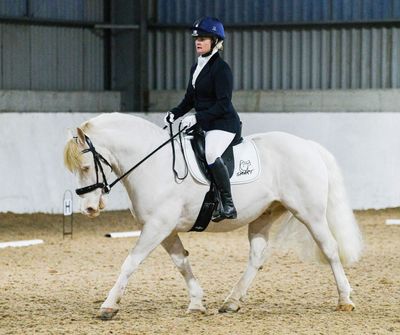 SMART Native Dressage saddle