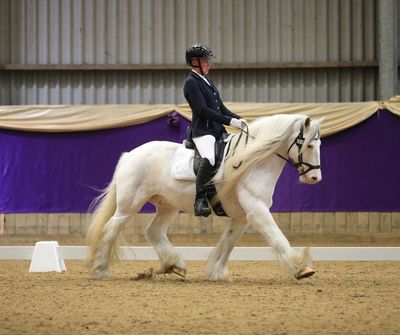 SMART Elite Dressage