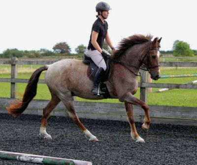 SMART Elite GP saddle