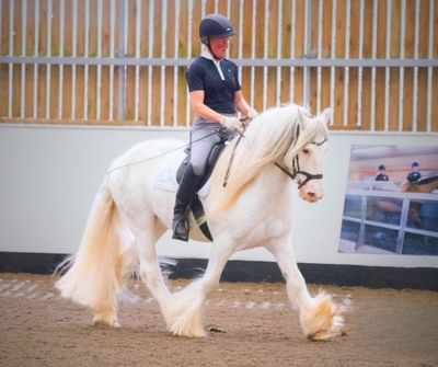 SMART Native Dressage saddle