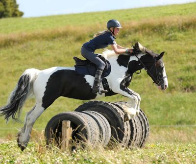 Person riding a horse jumping over tires