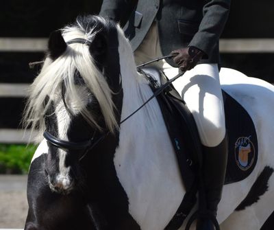SMART Native VSD saddle