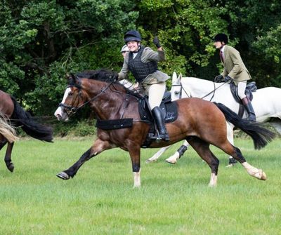 SMART Native GP saddle
