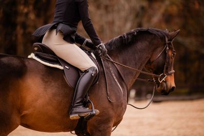 Person riding a horse in an outdoor setting