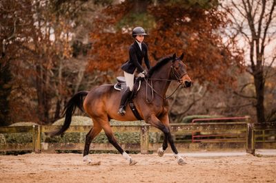 Person riding a horse in an outdoor equestrian setting
