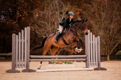 Horse and rider jumping over a fence in an outdoor setting