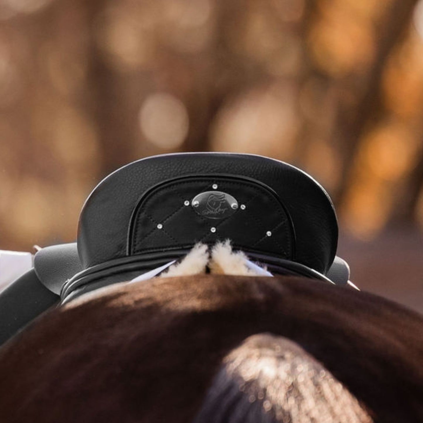 SMART Custom Cantle design