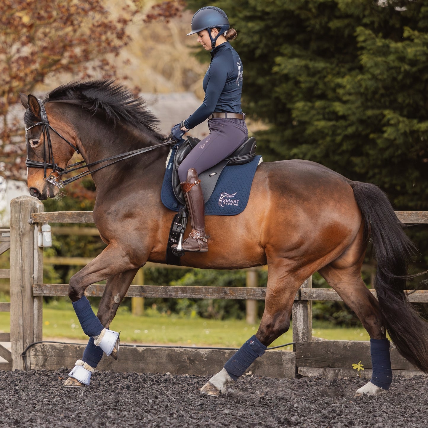 SMART Elite Dressage