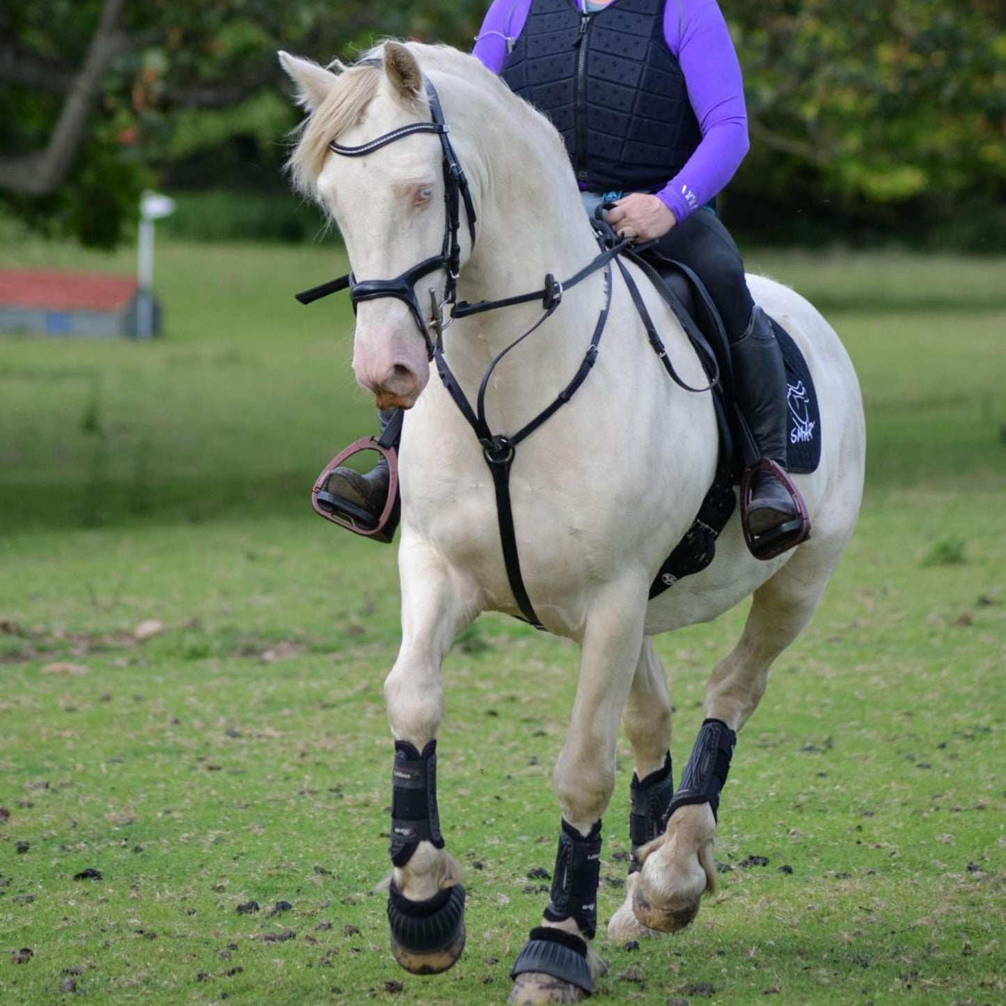SMART Native Event saddle