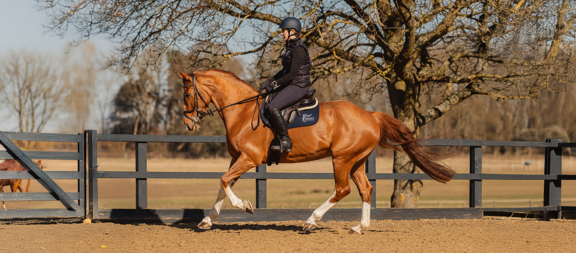 SMART Saddles Banner